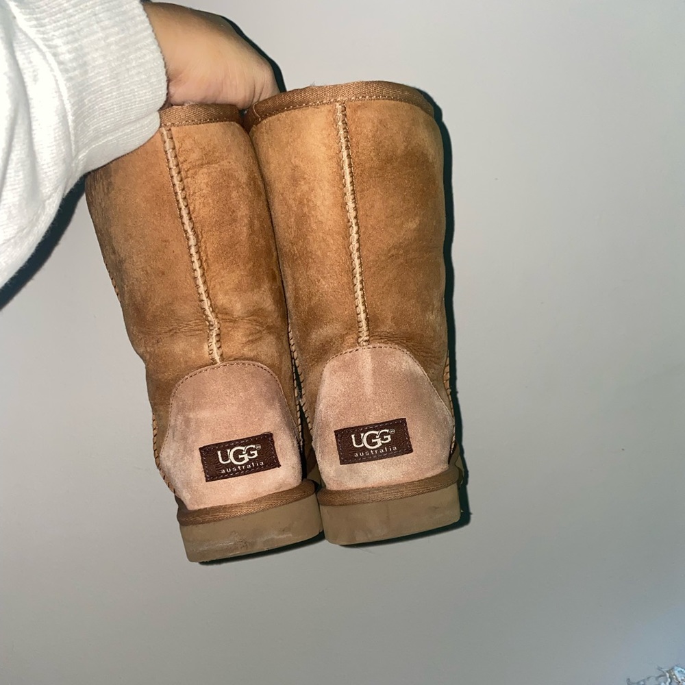 Chestnut classic uggs